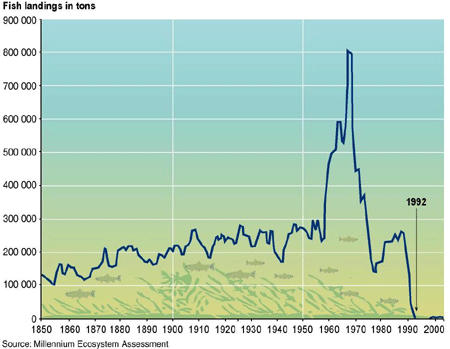 Collapse of Atlantic Cod stocks, see text description in link below