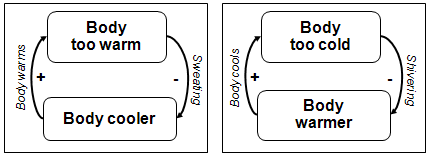Diagrams of body temperature negative feedback. Explained above.