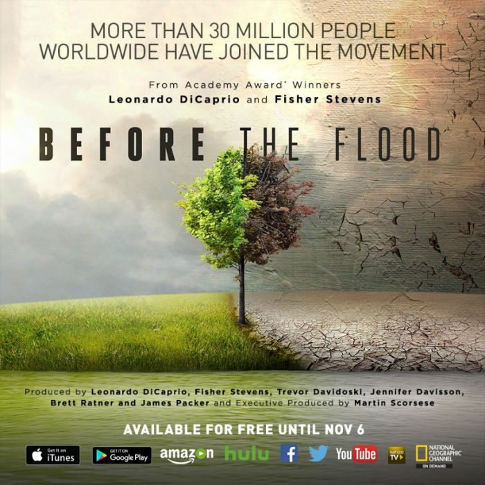 movie poster for 'Before the Flood'
