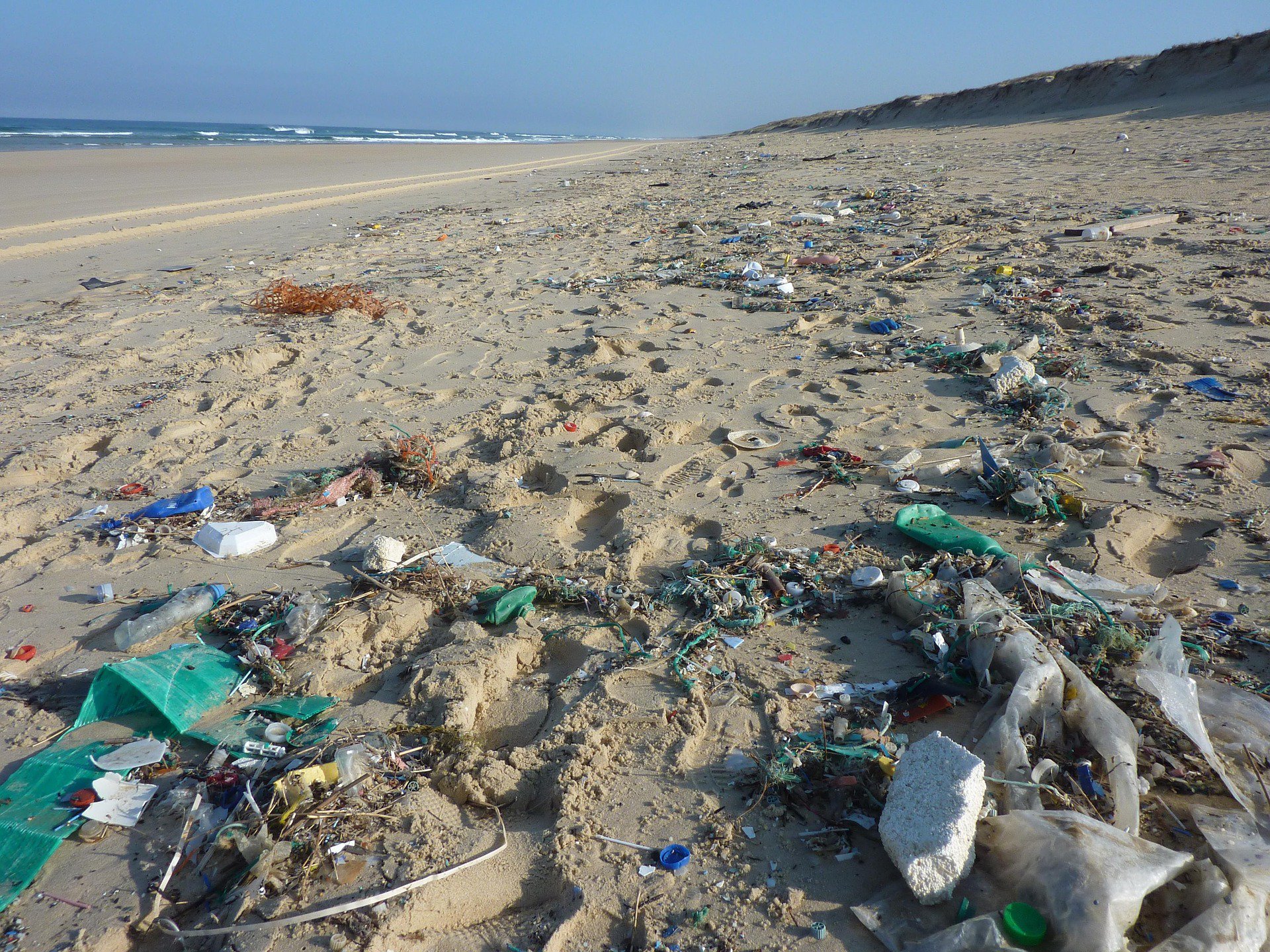 beach strewn with trash