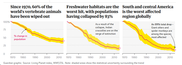 chart of decline of vertebrate animals