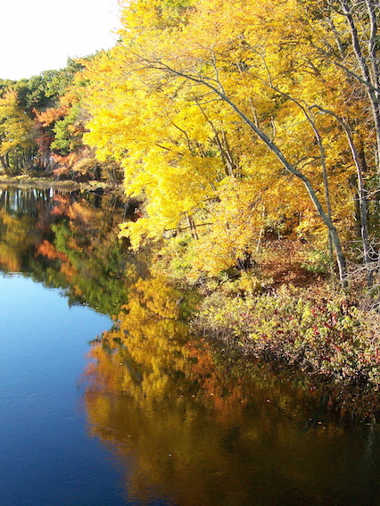 Photograph showing trees in full autumn colors reflected in a lake.