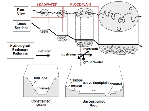 Headwaters w/ constrained reach(hillslope & channel) &flood plain unconstrained reach w/ hillslope, terrace, live floodplain & small channel