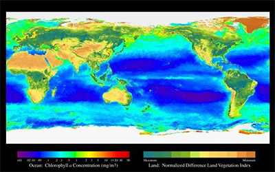 Satellite image of ocean temperatures showing El Niño. cool around the equator, warmer towards poles