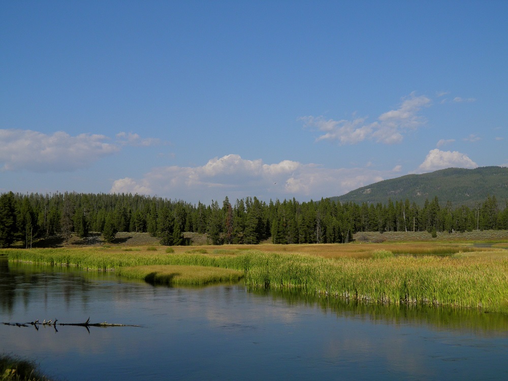 photo of lake scenery with water, a field and some trees