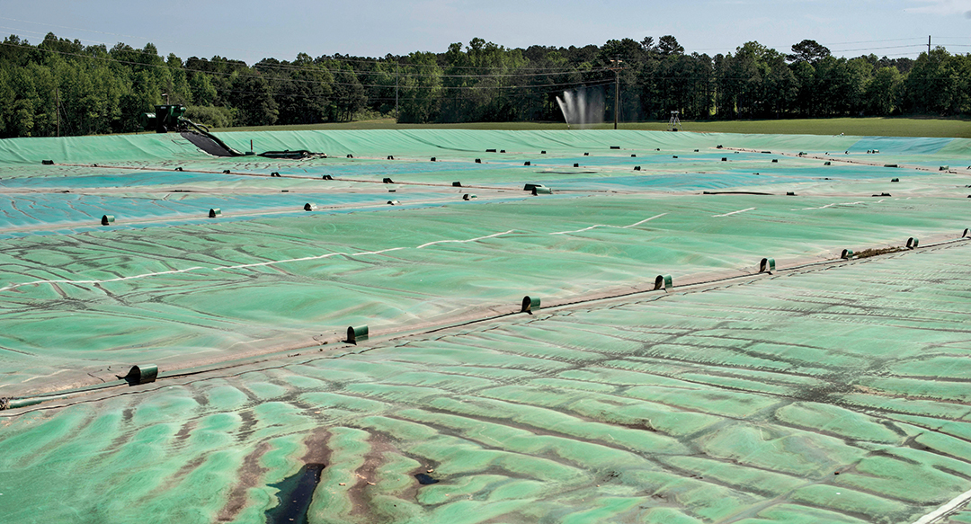 covered hog manure lagoon. Looks like a green giant tarp laying over a wide area of land