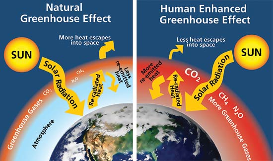 Infographic of the the greenhouse effect.  Less heat escapes into space, and more is re-emitted when there are more greenhouse gases