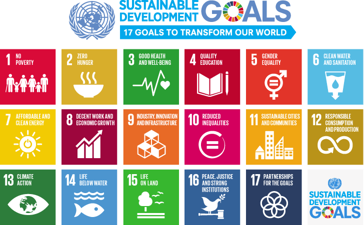 all 17 sustainable development goals in infographic