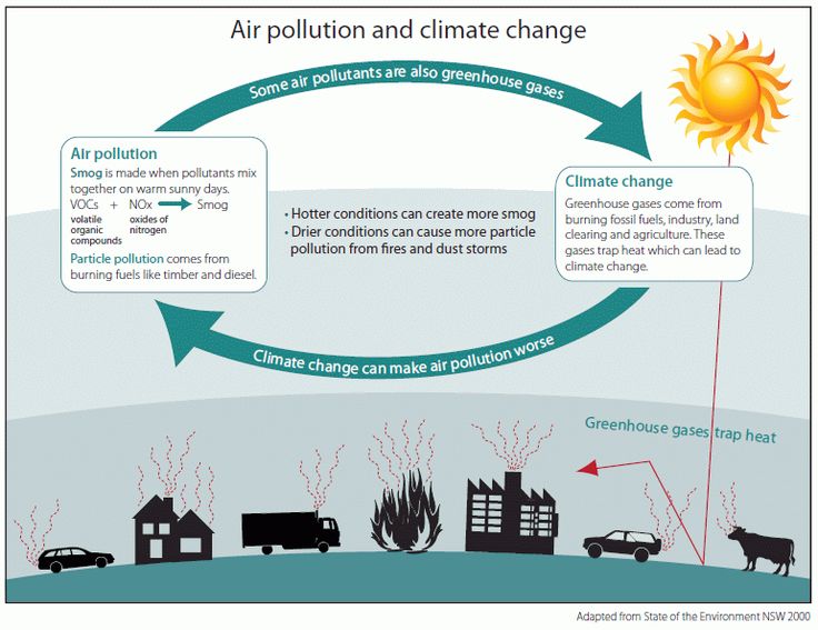 diagram showing the interconnected nature of air pollution and climate change