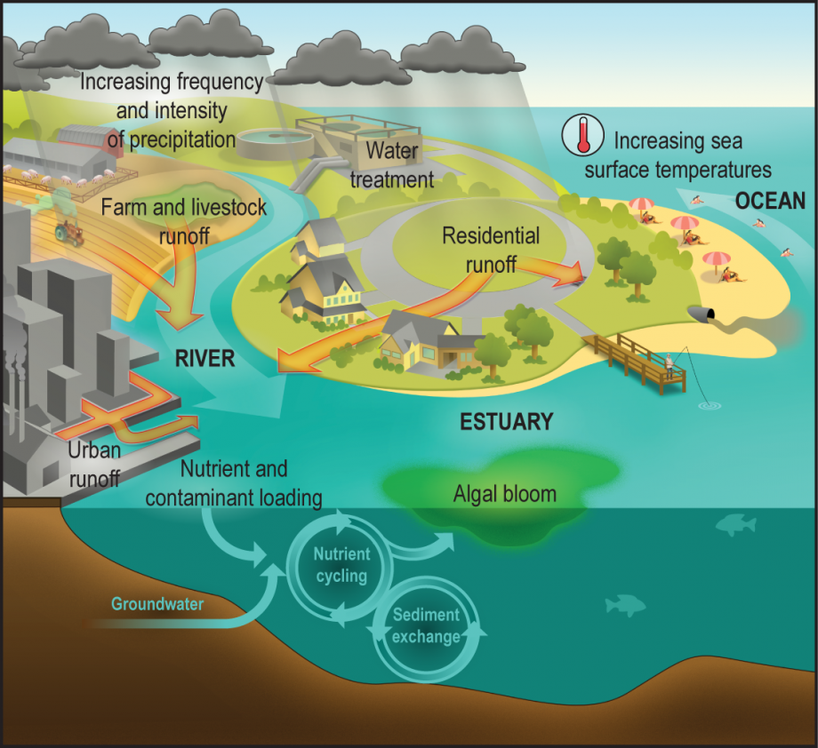 graphic shows runoff from farms, residential arias and urban areas all ending up in rivers and oceans