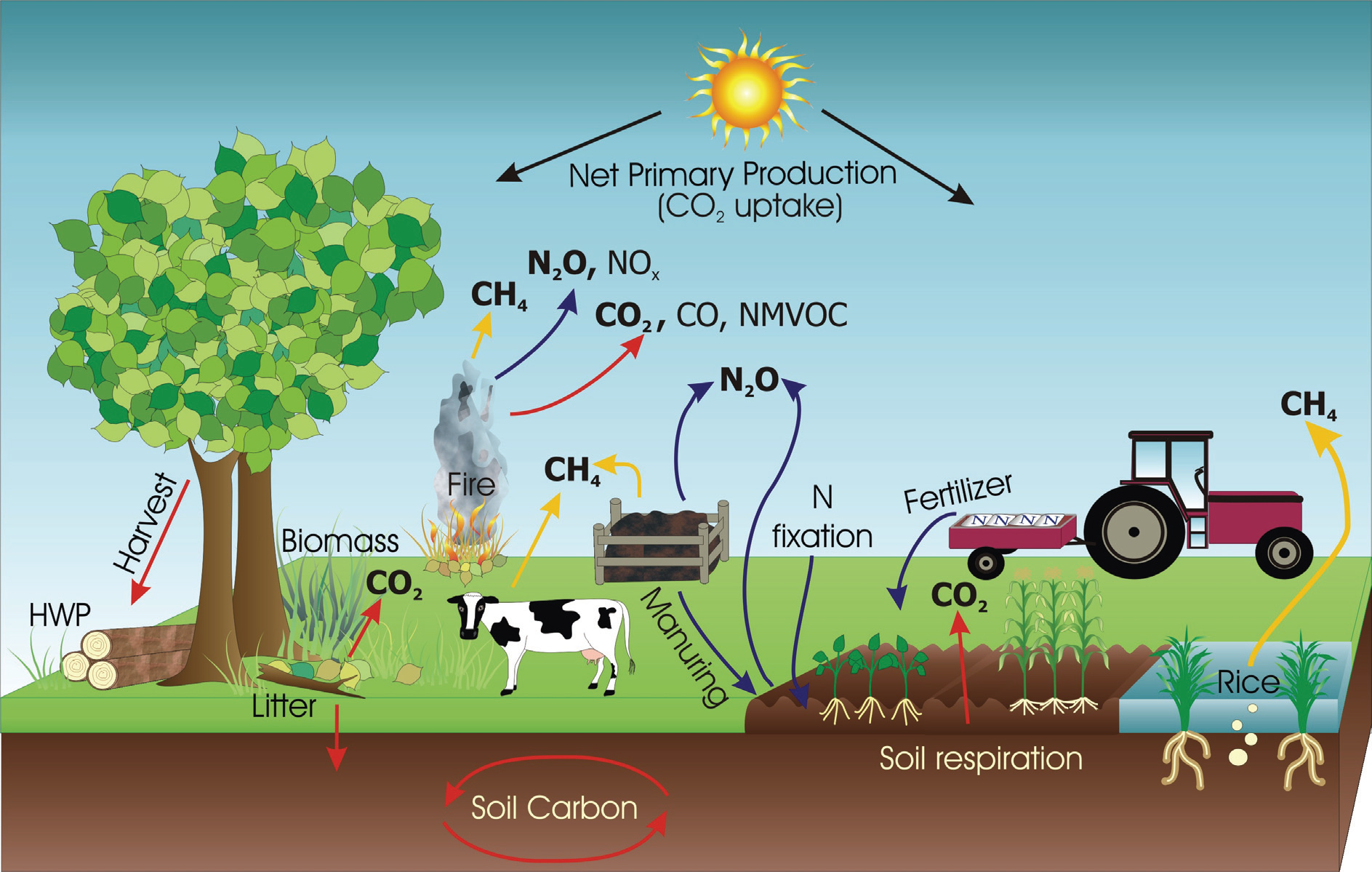 shows farm contributions 2 GHG:  Fire releases CH4, N2O, CO2, manure releases CH4 & NO2, rice paddys release CH4 & litter releases CO2