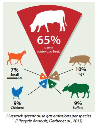 pie chart showing GHG emissions by species of livestock: Cattle 65%, Pigs 10%, Buffalo 9%, Chickens 9%, Small Ruminants 7%