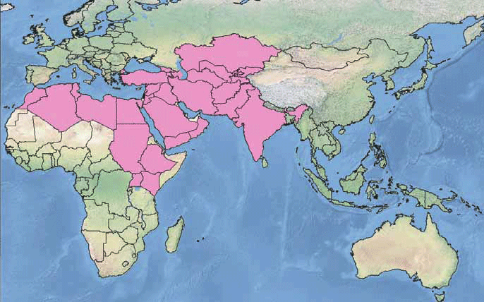 Map showing countries at risk for wheat rust. Northeastern Africa and the Middle East