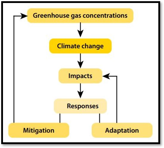Flow chart: greenhouse gas conc. to climate change to impacts to responses to mitigation (to greenhouse gas conc.) or adaptation (to impacts)