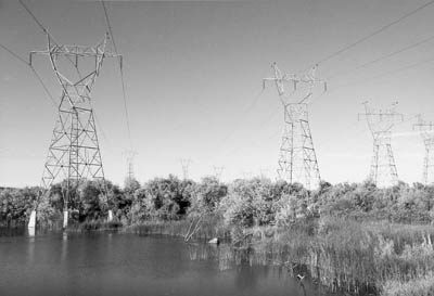 BPA transmission towers.