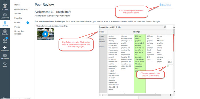 screen capture of Project Rubric