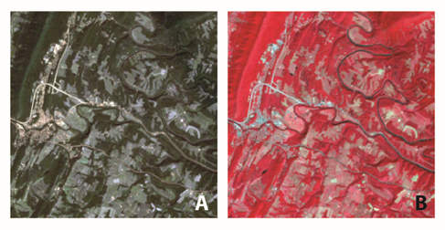 Landsat TM image displayed as (a) Natural Color and (b) False-Color Composite, see text below
