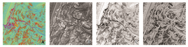 Landsat TM scene displayed in 4 ways, see caption and text above