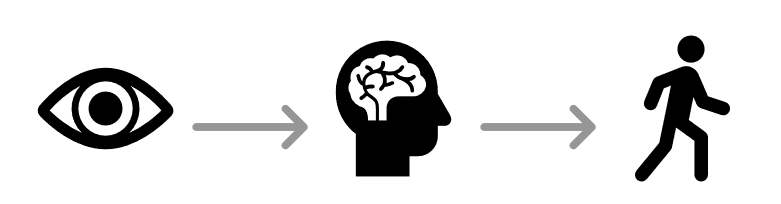 images of an eye, a brain, and a person moving forward - with arrows pointing one to the next in that order