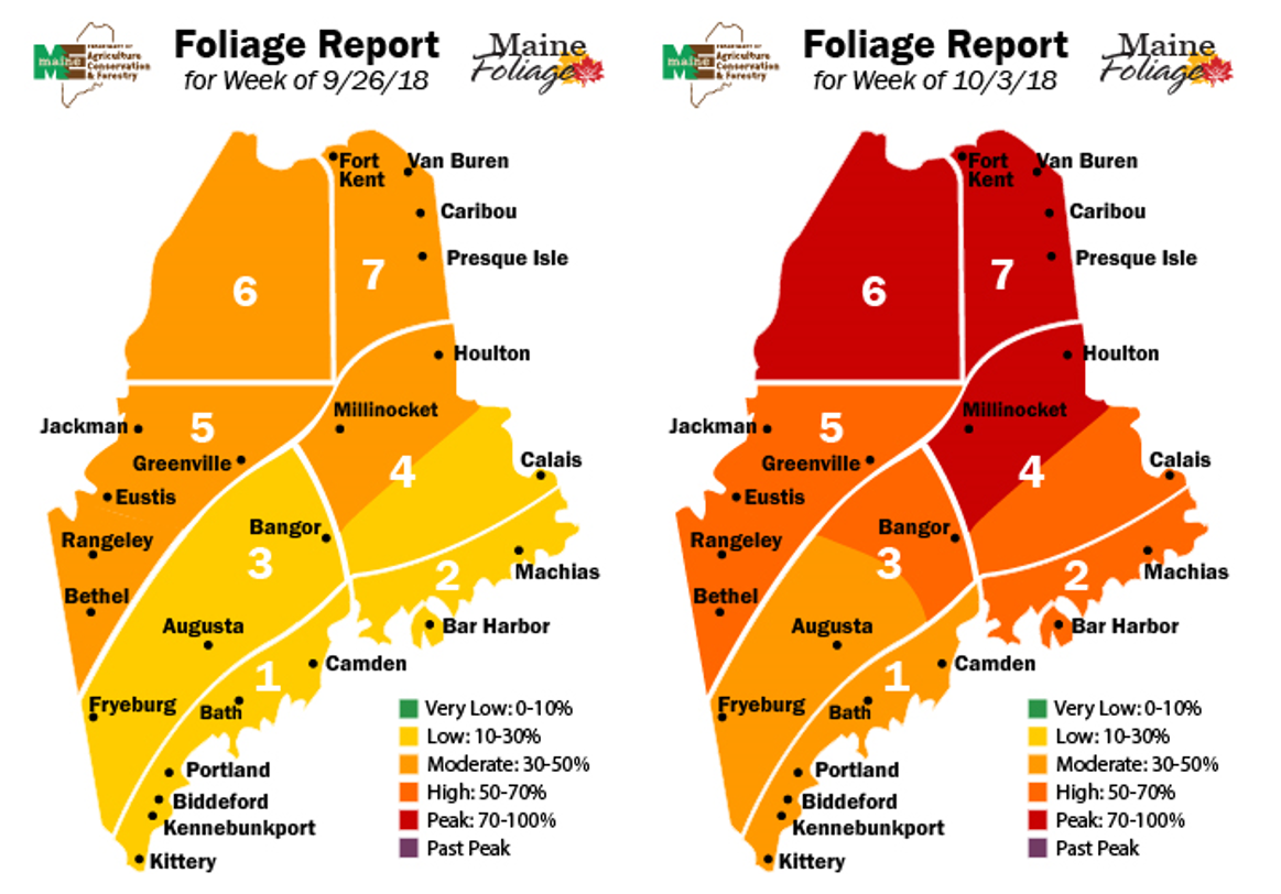 Maine Foliage map - using autumn colors that logically connect with the stages of the foliage, see surrounding text