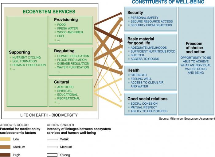 3 kid-friendly STEAM electronics projects that harness NOAA's massive  public databases