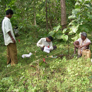 Three men in the Indian forest record data related to plot measurment.