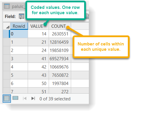 Screenshot of coded values. Column1: Rowid, column1: value (1 row 4 each unique value). Column3: count (# of cells within each unique value)