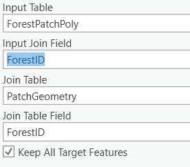 Settings. Input table: ForestPatchPoly. Input Join Field: ForestID, Join Table: PatchGeometry, Join Table Field: ForestID