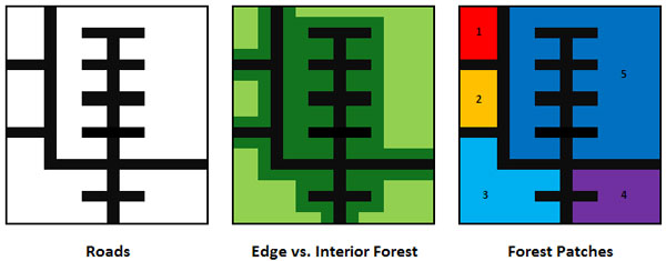 Edge vs. Interior Forest layout Edge  (area outlining the roads blocked out) and a Forest Patches layout (sections separated by roads)