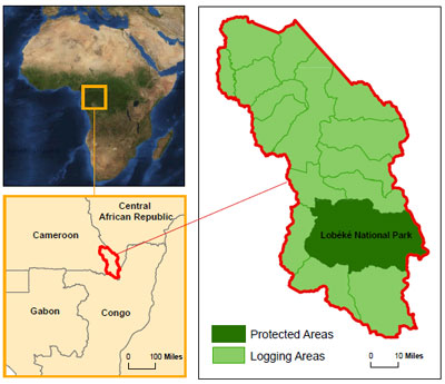 Maps to show the exact location of the study site within Cameroon. Only a very small portion is protected national park