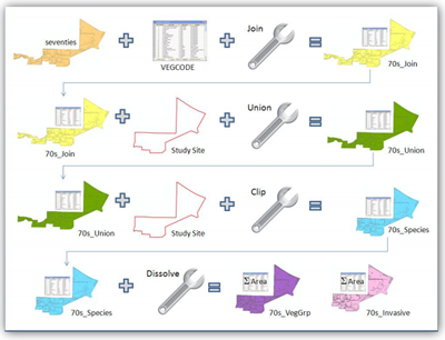 Example Visual Process