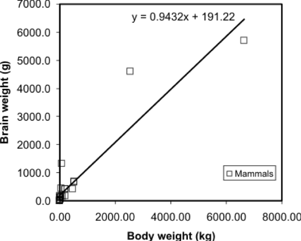 Regression line and equation added to the mammal brain weight data. Refer to paragraph above.