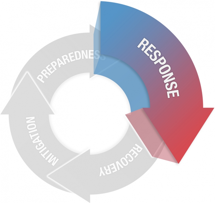 four stages of emergency management with Response highlighted. Other stages = Mitigation, Preparedness, and Recovery. They are described in more detail below.