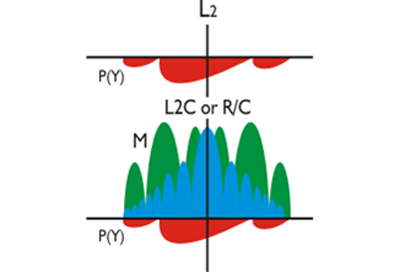 L2 Signal Diagram - described in text below.