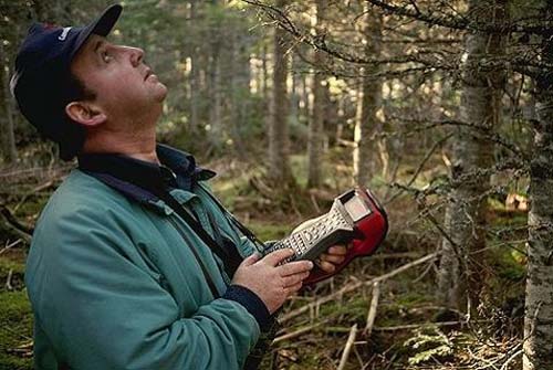 Photo illustration of GPS in an obstructed Environment, man using electronic device in woods