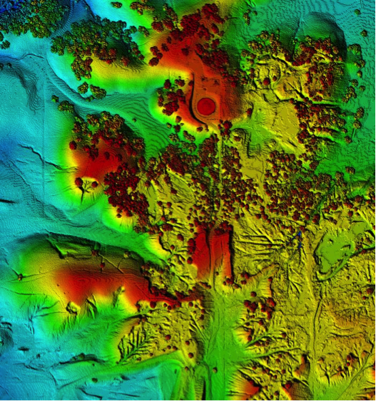 LiDAR digital surface model