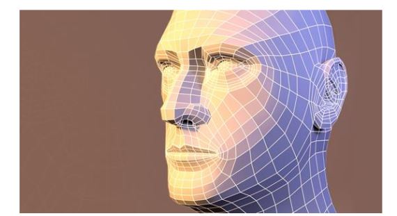 Screenshot polygonal surface modeling of a head