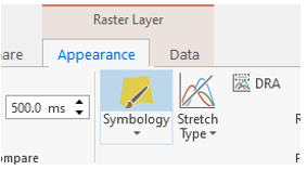 Screenshot of Raster Layer Appearance Menu