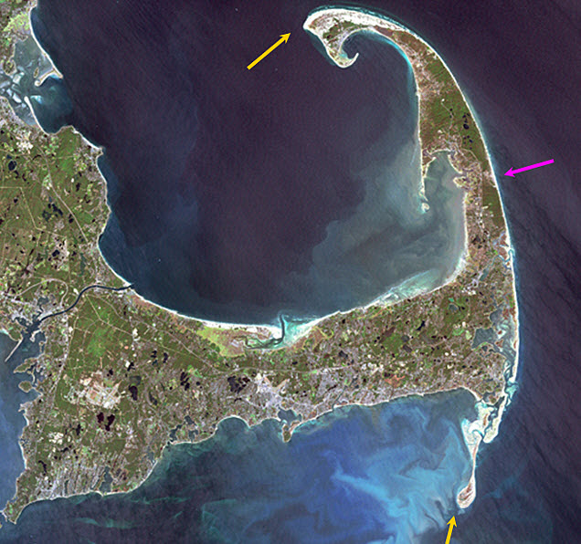 Satellite image of Cape Cod.  One arrow points to the eroding outer beach on the right. Two more arrows point to areas of sand build out to the south and north.