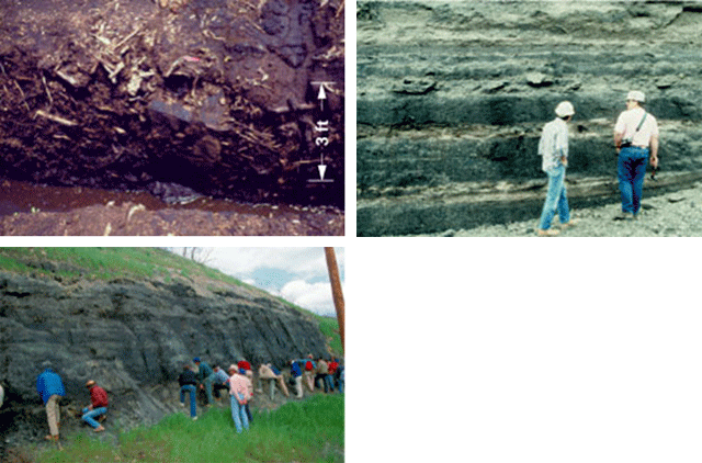 Three pictures:  1.  Peat from Indonesia.  2.  Lignite from Texas.  3.  Bituminous from West Virginia.