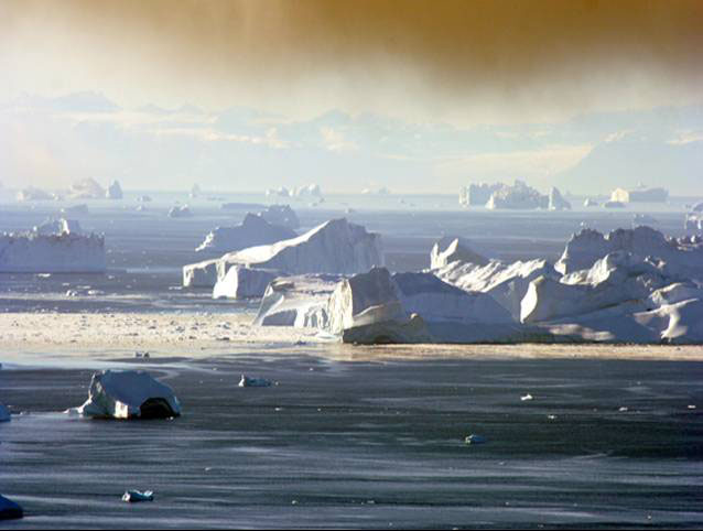 Icebergs in Scoresby Sund, NE Greenland National Park