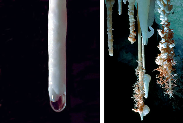 Two pictures of cave formations.  1.  Soda straw.  2.  Soda straws with helectites