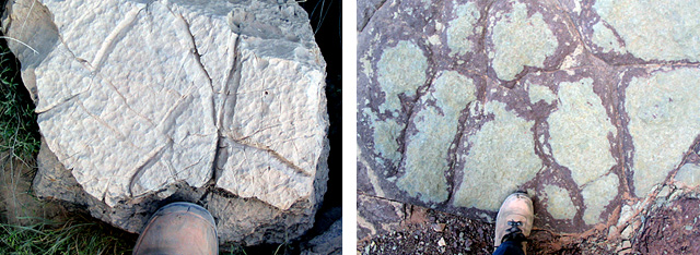 Two pictures of mud cracks in stone from the Grand Canyon.