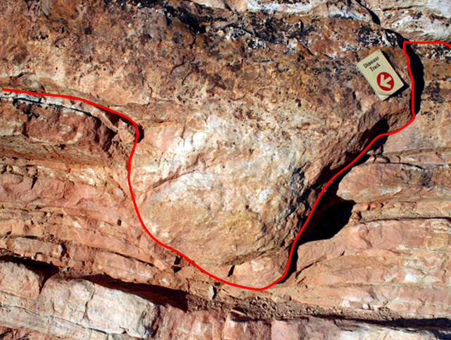 close up of the previous edge on dinosaur track with the track outlined.