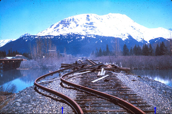 Buckeling train tracks
