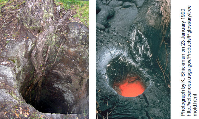 lava tree mold