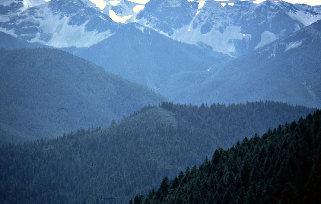 Higher peaks of the park  host glaciers