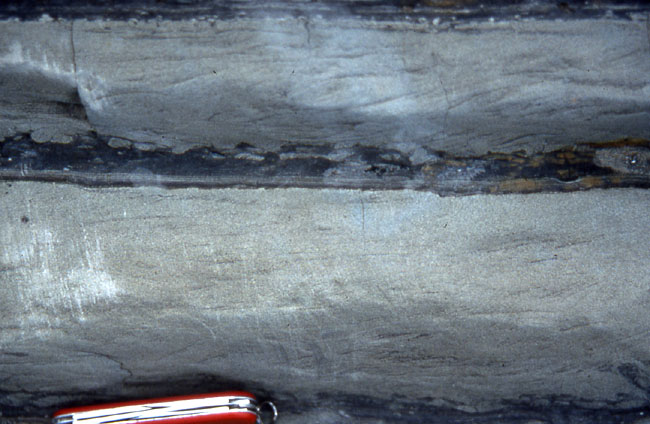 Close up of the Turbidites.  The light gray rock is sandstone and the darker gray rock is siltstone and claystone
