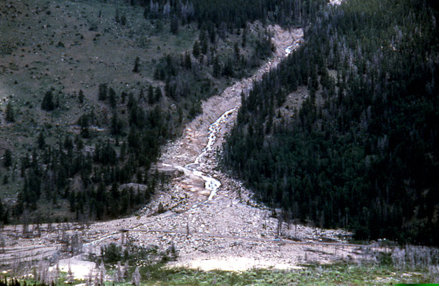 Alluvial fan from the Lawn Lake Flood.