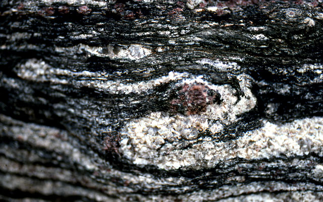 Metamorphic rock with a red garnet in the center.